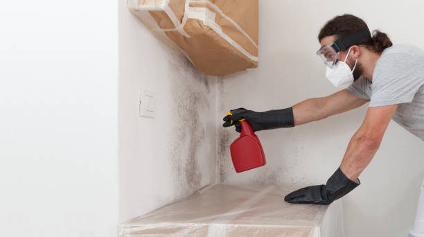 Professional Bathroom Mold Removal technician working in Danvers, IL