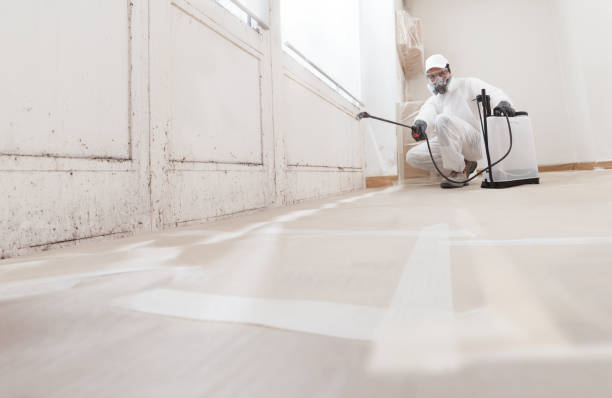 24/7 Emergency Bathroom Mold Removal experts in Danvers, IL