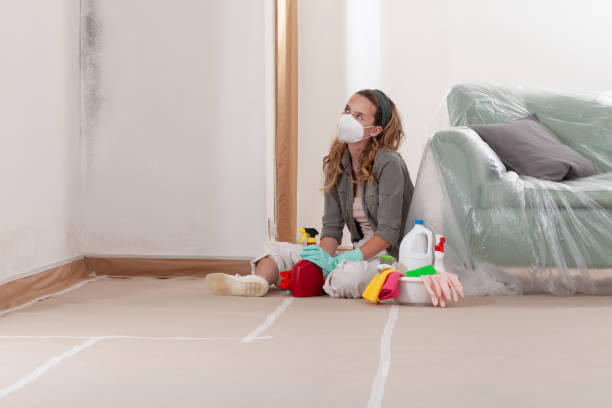 Reliable Bathroom Mold Removal contractor in Danvers, IL by Car Mold Remediation