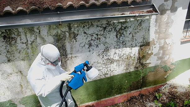 Top rated local Bathroom Mold Removal specialists in Danvers, IL